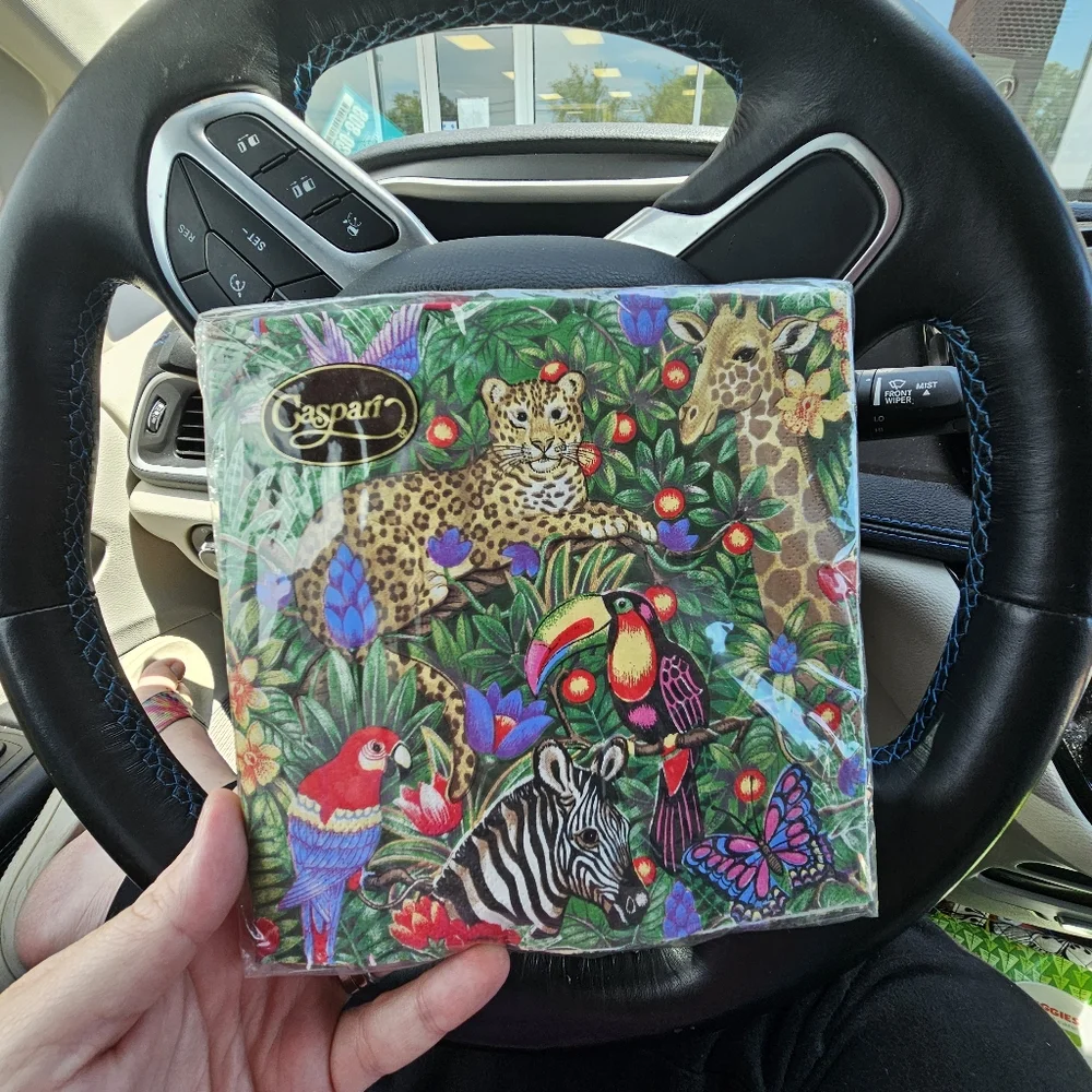 15 packs of various size napkins and themes